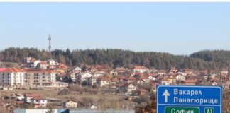 Жестоко убийство на две деца с нож във Вакарел. Майката е заподозряна